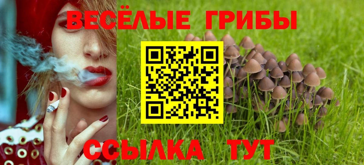 Галлюциногенные грибы Psilocybe Назрань