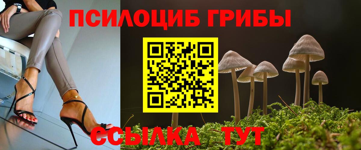 Назрань  Галлюциногенные грибы мицелий  Вход с VPN 